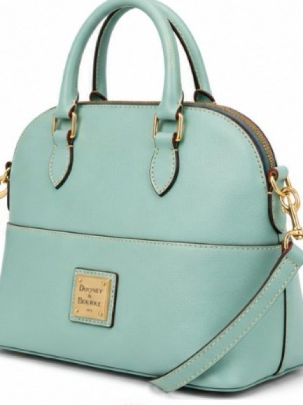 Dooney & Bourke Mint Crossbody Dome Satchel with Red Interior